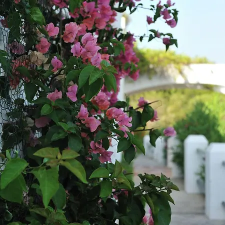 Holiday home Hacienda Del Golf *